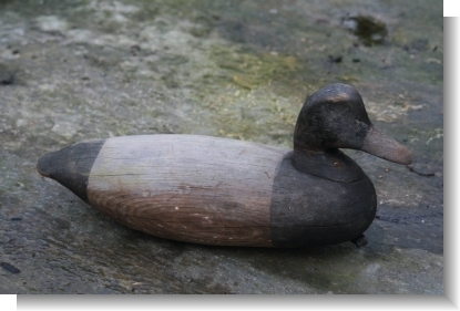 AMERICAN DECOY DUCK
