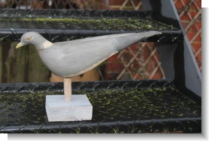 GOOD DECOY PIGEON 2.